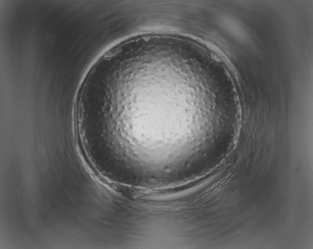 X0000084001295200702232128