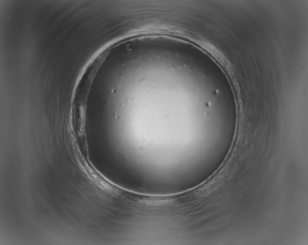 X0000084001296200702232128