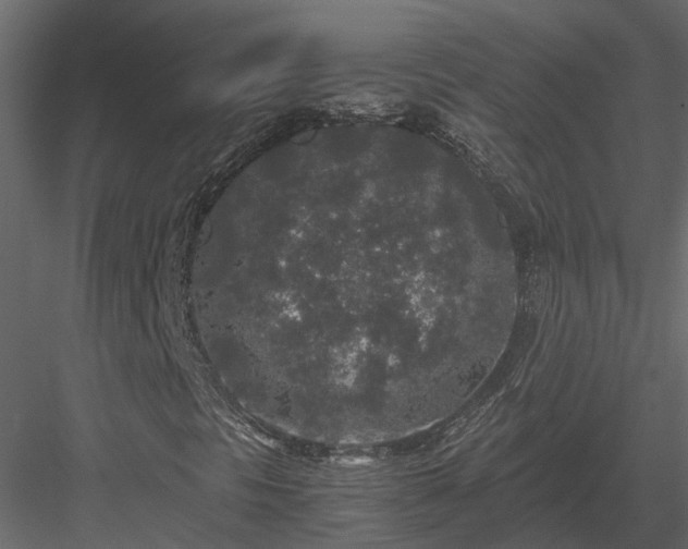 X0000084001297200702232127