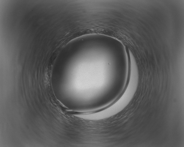 X0000084001298200702232127