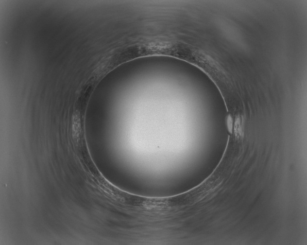 X0000084001299200702232127