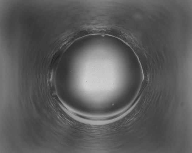 X0000084001300200702232127