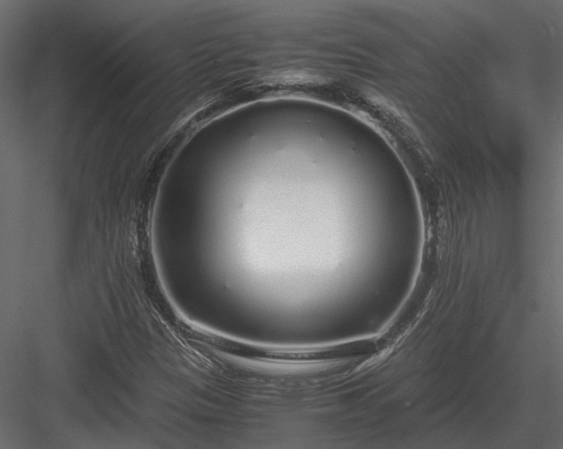 X0000084001305200702232127