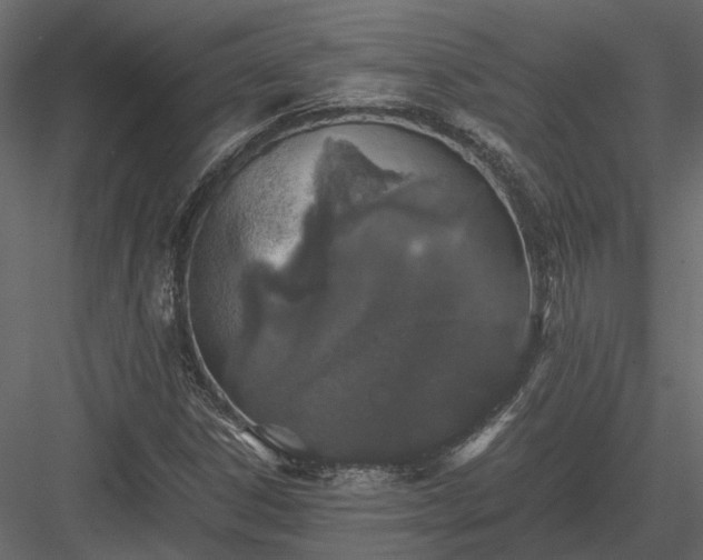 X0000084001306200702232127