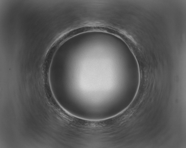 X0000084001311200702232127