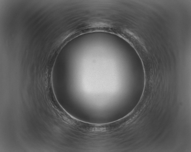 X0000084001313200702232127