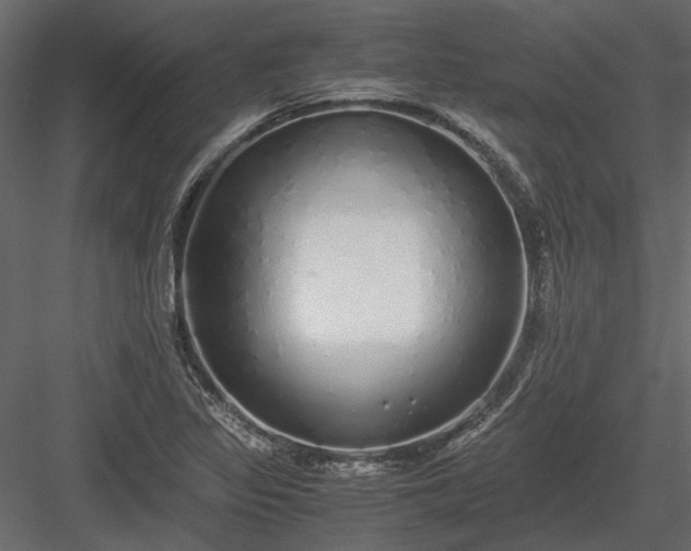 X0000084001317200702232127