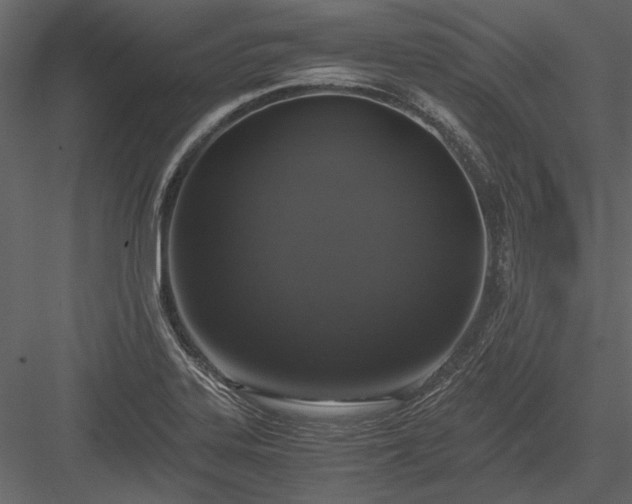 X0000084001323200702232127