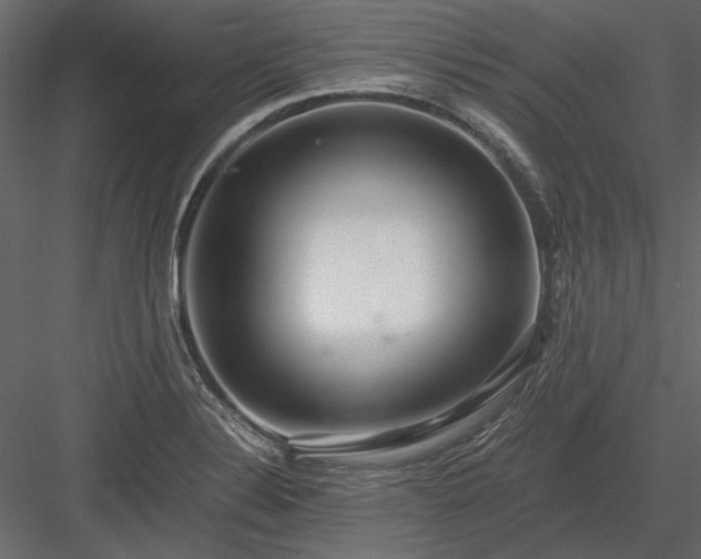 X0000084001324200702232127