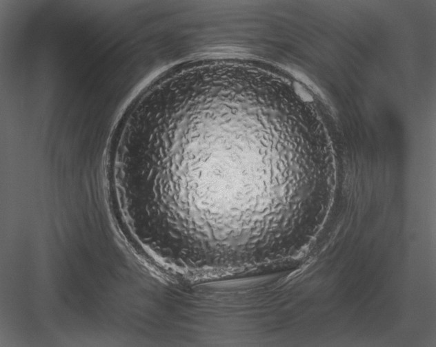 X0000084001325200702232127