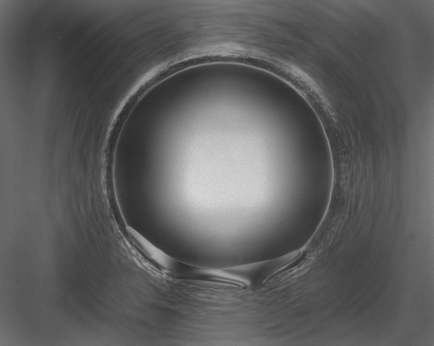 X0000084001326200702232127