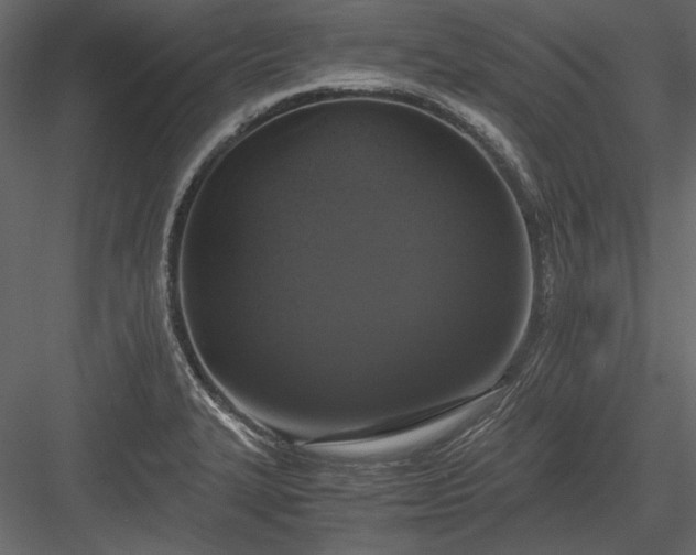 X0000084001327200702232127
