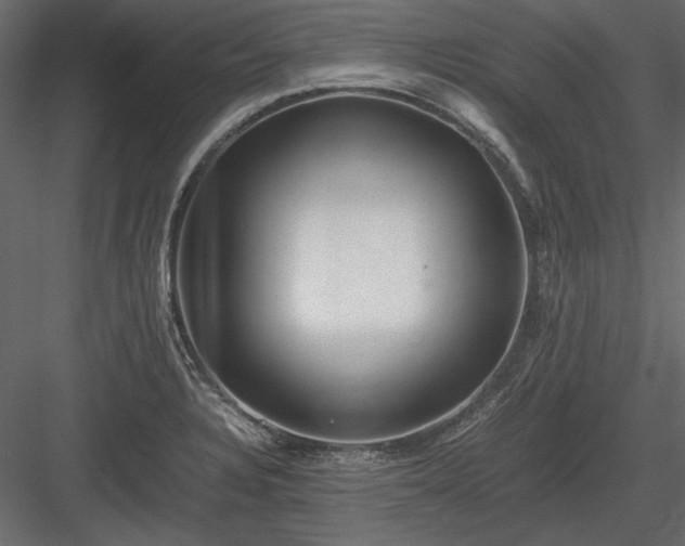 X0000084001328200702232127