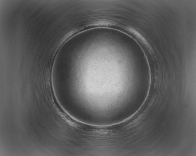 X0000084001329200702232127