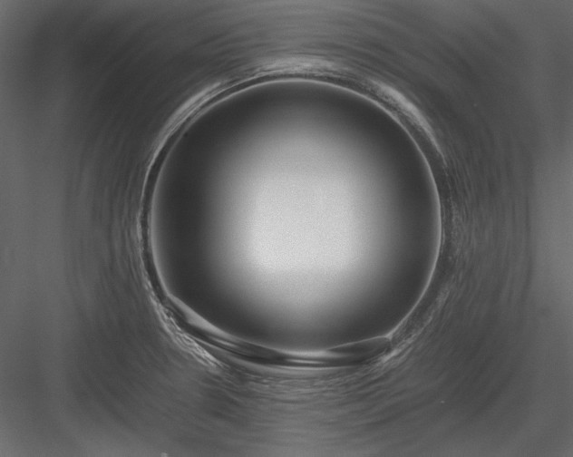 X0000084001330200702232127