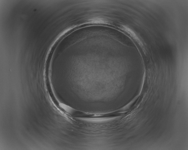 X0000084001331200702232127