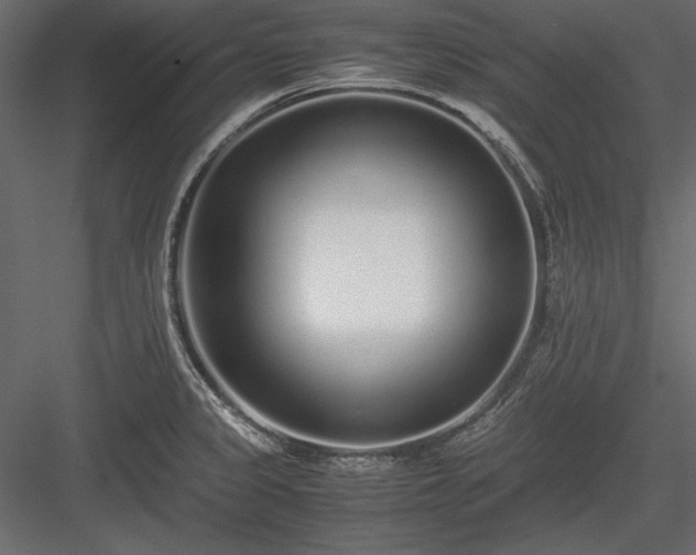 X0000084001333200702232127