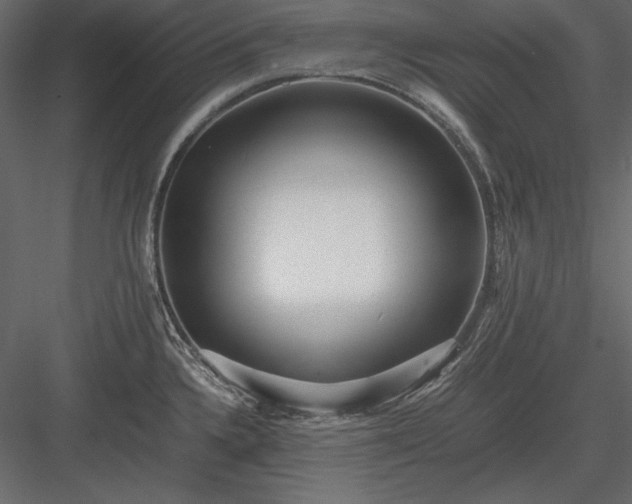 X0000084001336200702232127