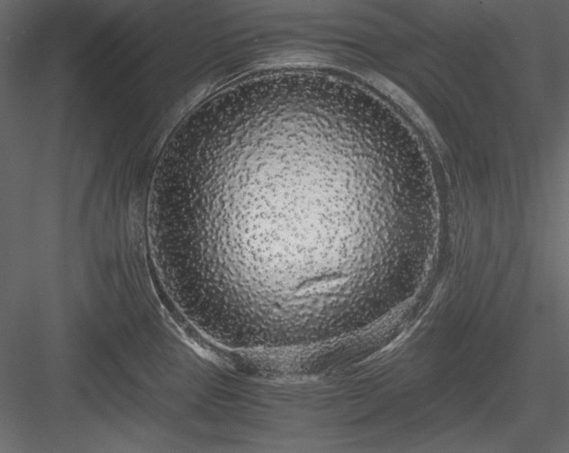 X0000084001337200702232127