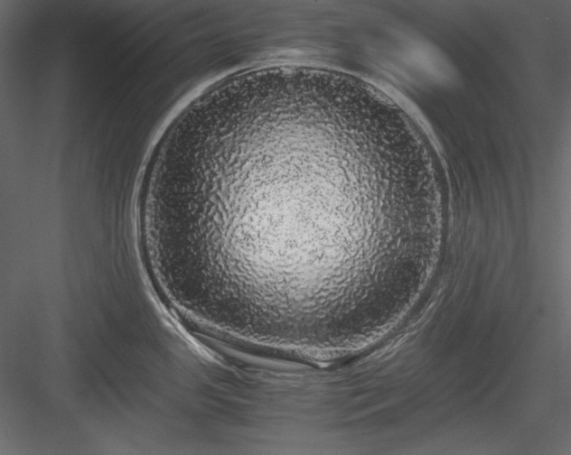 X0000084001341200702232127