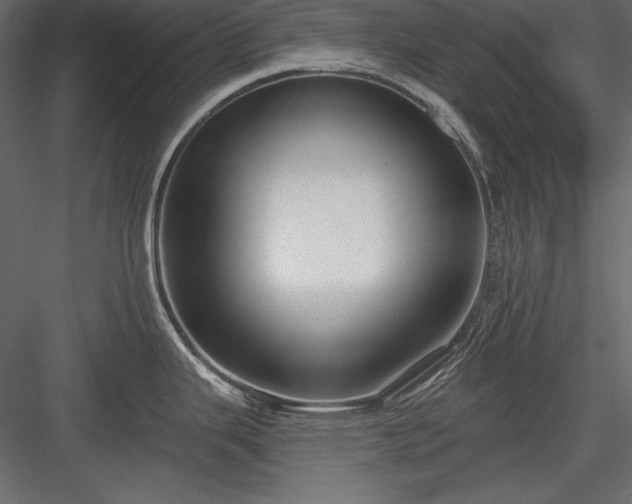 X0000084001343200702232128