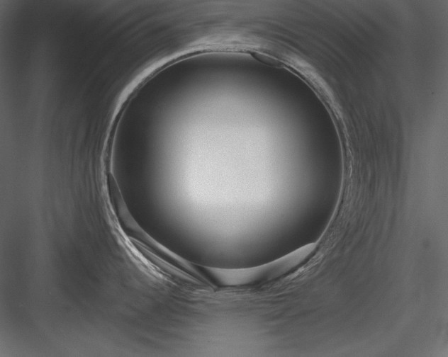 X0000084001344200702232128