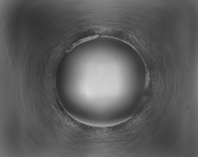 X0000084001345200702232127