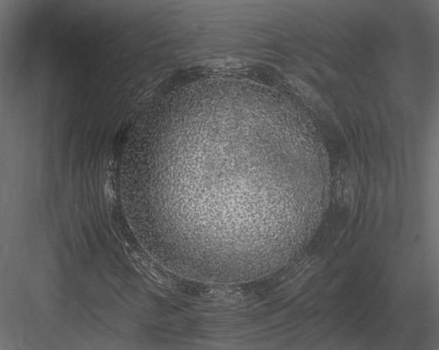 X0000084001346200702232127