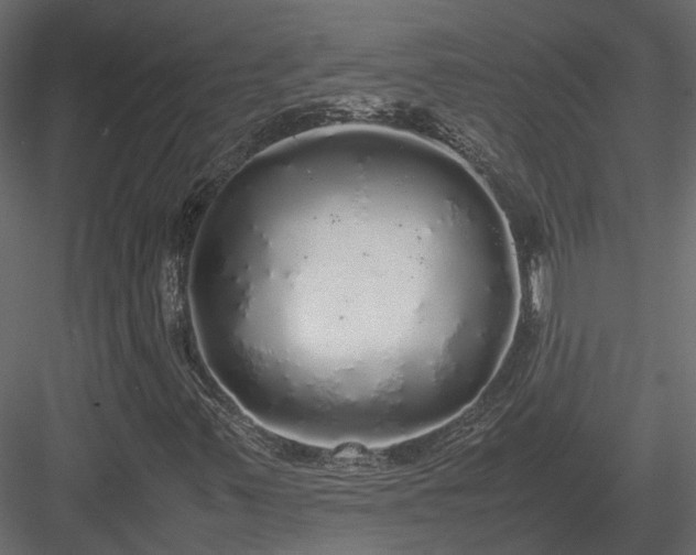 X0000084001347200702232127