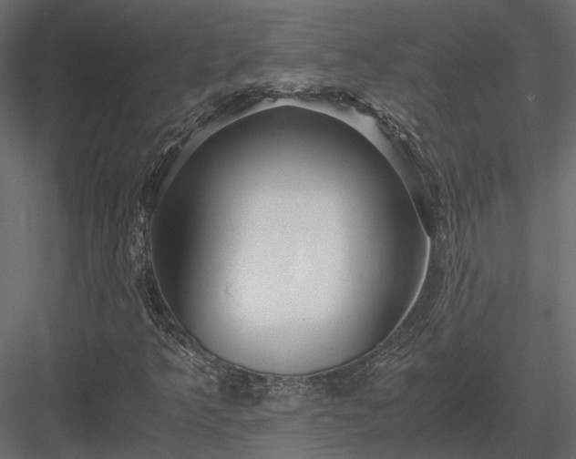 X0000084001349200702232127