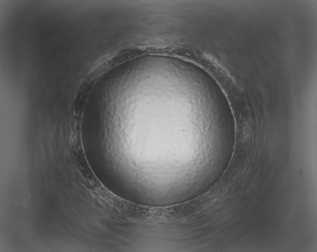 X0000084001350200702232127