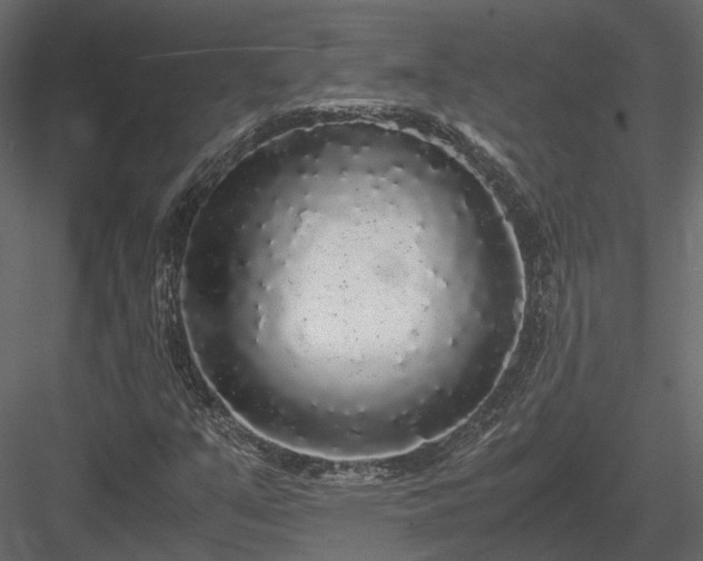 X0000084001351200702232127