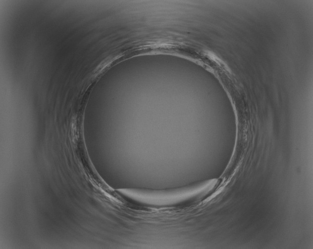X0000084001353200702232127