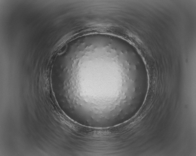 X0000084001354200702232127