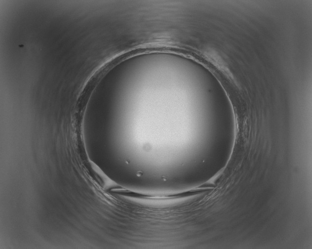 X0000084001356200702232127
