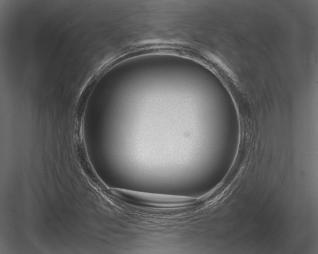 X0000084001357200702232126