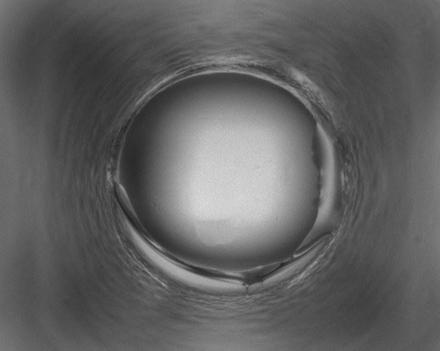 X0000084001361200702232126