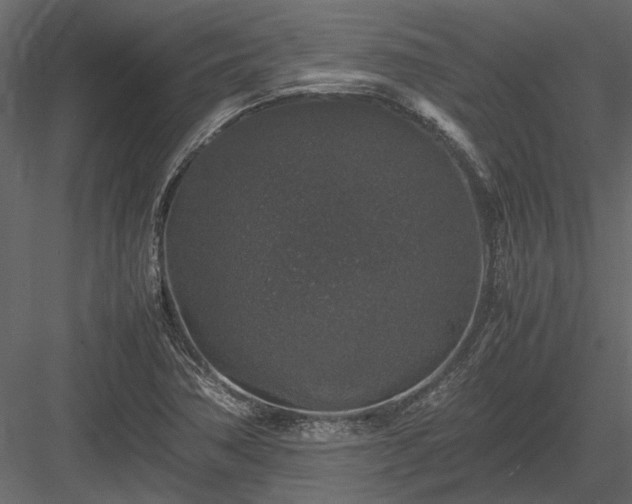 X0000084001362200702232126