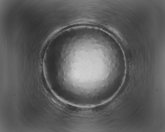 X0000084001363200702232126