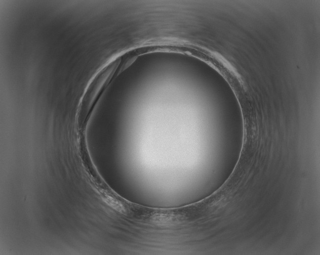 X0000084001364200702232126