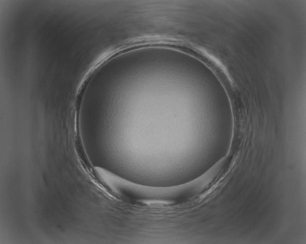 X0000084001365200702232126