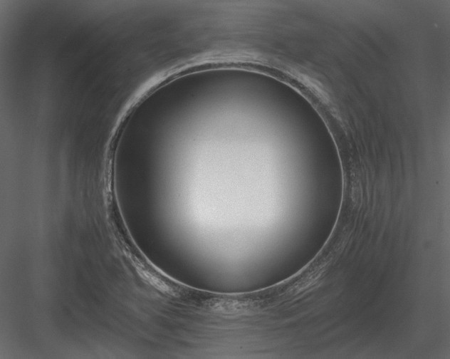 X0000084001366200702232126
