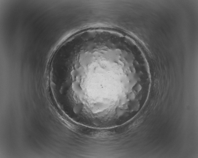 X0000084001367200702232126