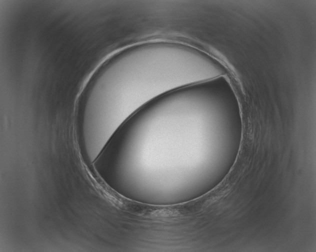 X0000084001368200702232126