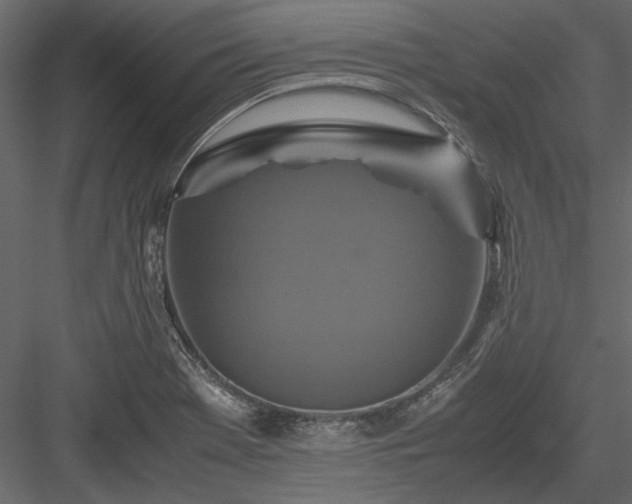 X0000084001369200702232126