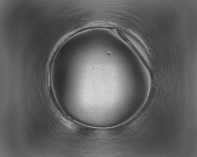X0000084001371200702232126