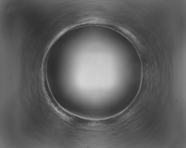 X0000084001375200702232126