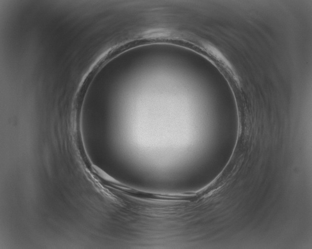 X0000084001376200702232126