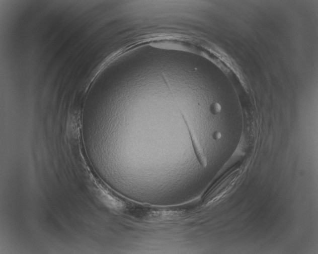 X0000084001377200702232126