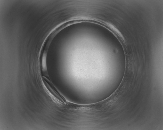 X0000084001380200702232126
